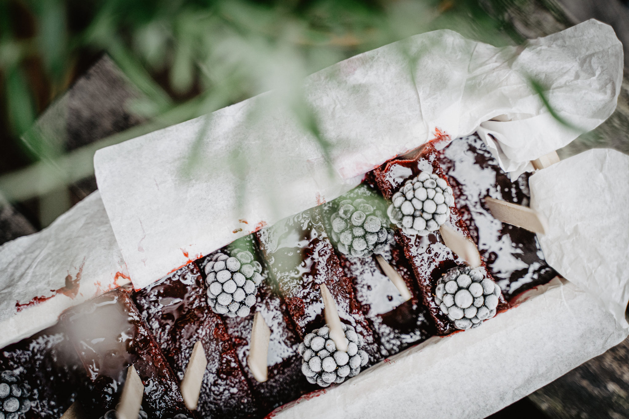 Brombeer-Lavendel-Eis | CUDDLING CARROTS